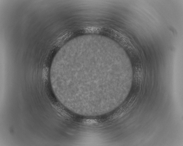 X0000115400649200912151521