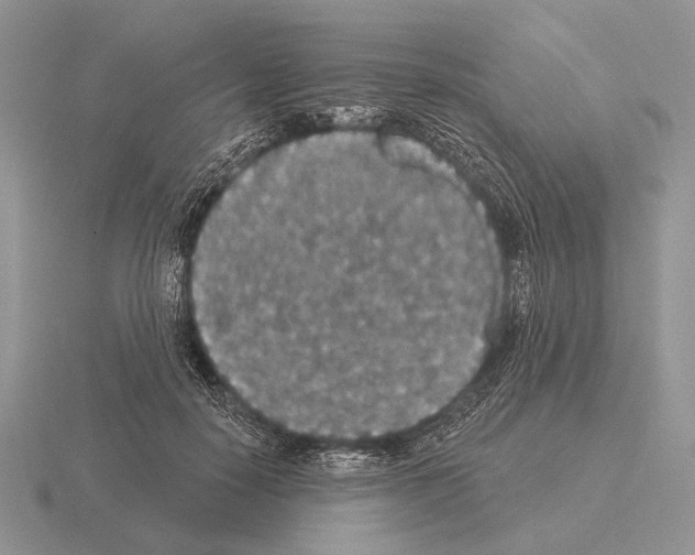 X0000115400650200912151521