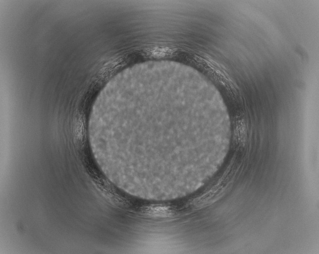 X0000115400651200912151521