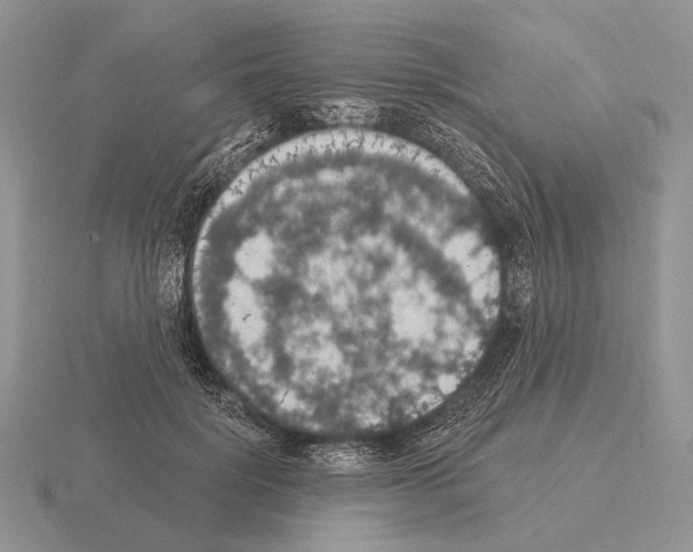 X0000115400652200912151521