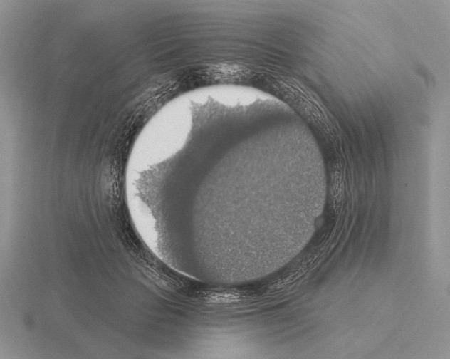 X0000115400653200912151521