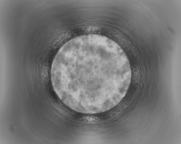 X0000115400654200912151521