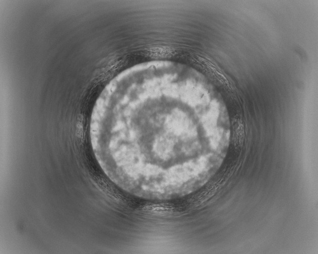 X0000115400655200912151521