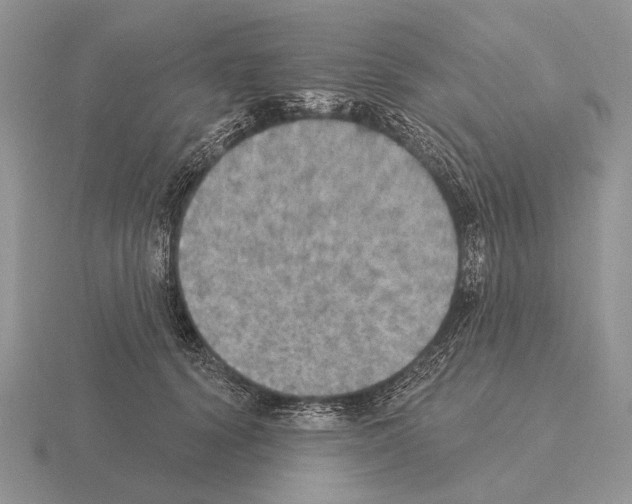 X0000115400656200912151521