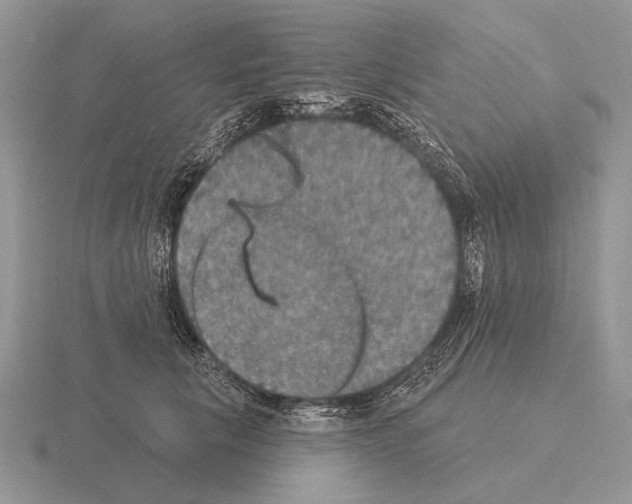 X0000115400657200912151521