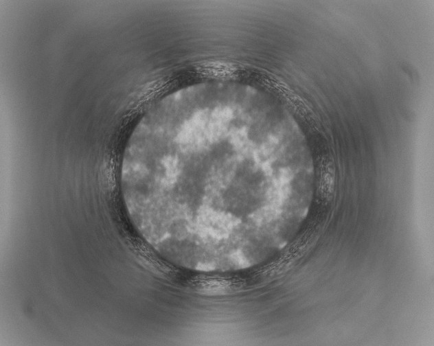 X0000115400658200912151521