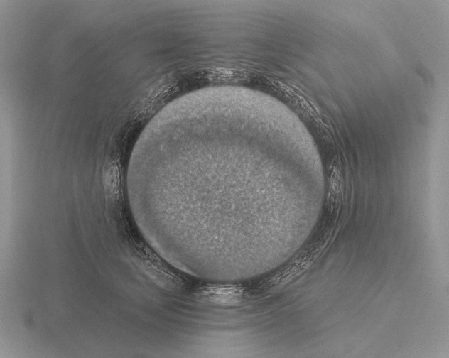 X0000115400659200912151521