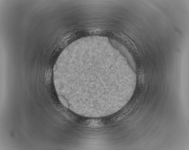 X0000115400660200912151521