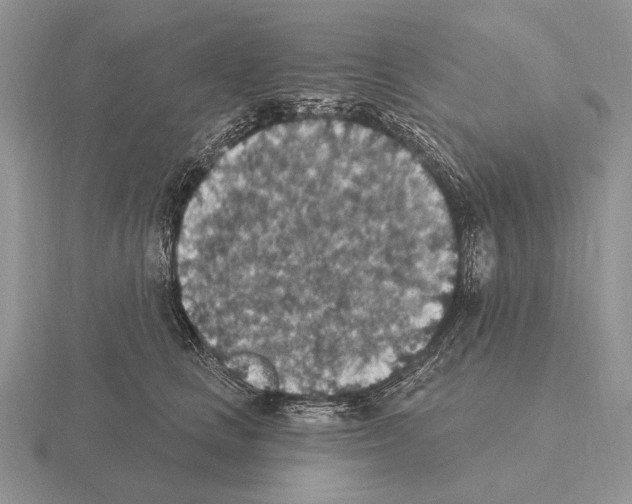 X0000115400661200912151521