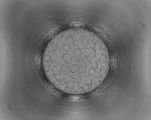 X0000115400662200912151521