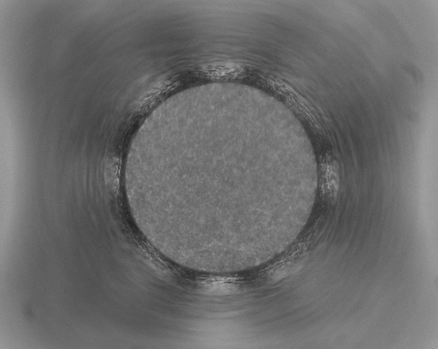 X0000115400664200912151521