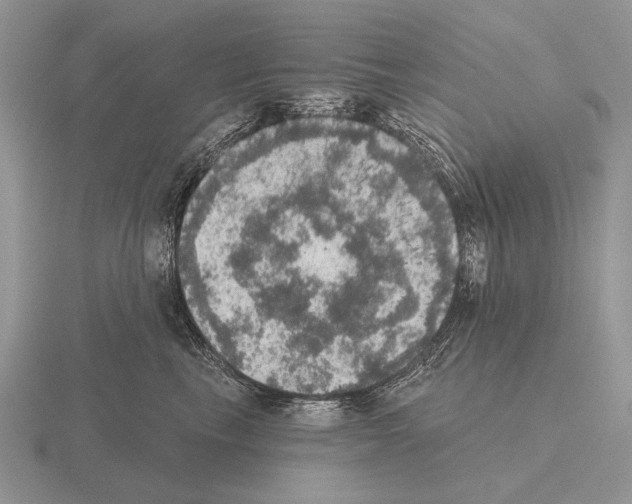 X0000115400665200912151521