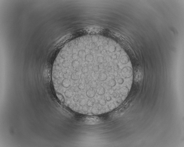 X0000115400666200912151521