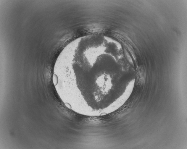 X0000115400668200912151521