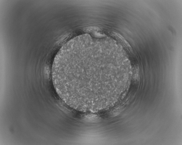 X0000115400669200912151521