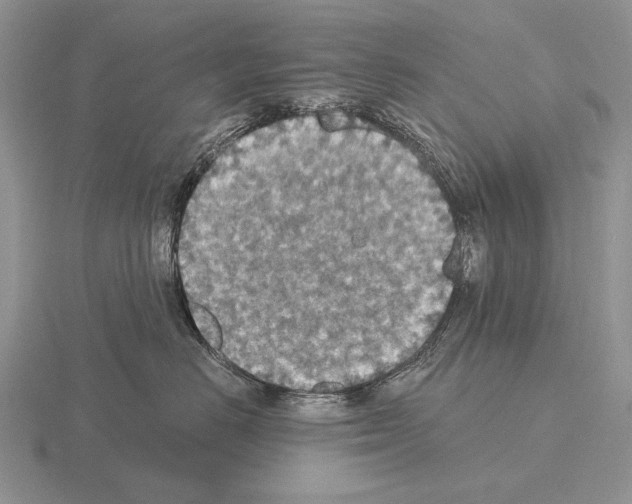 X0000115400670200912151521