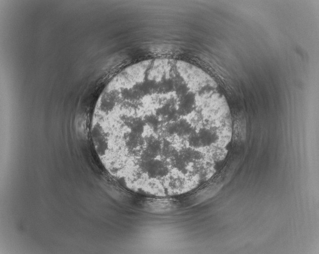 X0000115400671200912151521