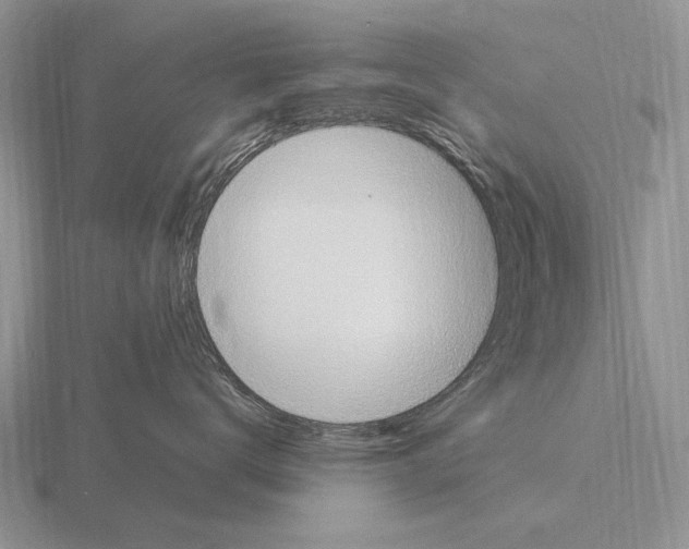 X0000115400672200912151521