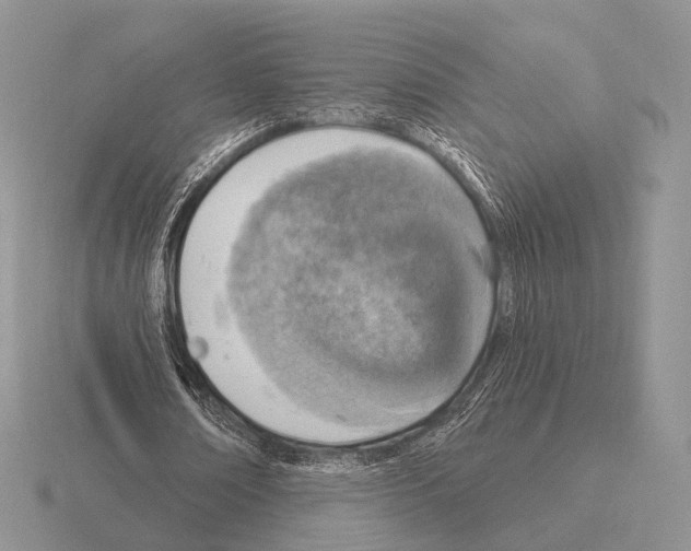 X0000115400674200912151521