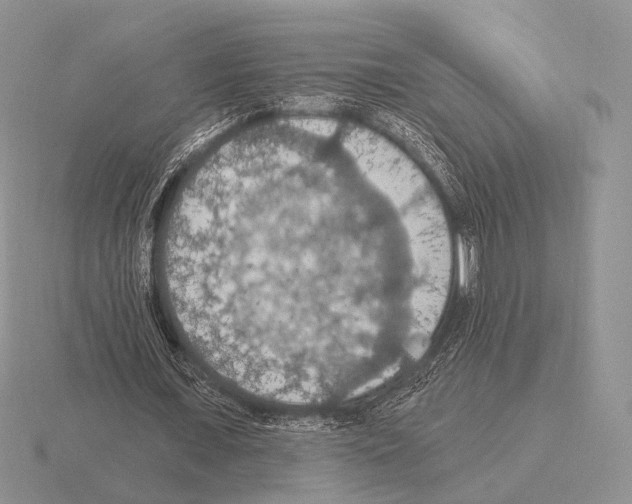 X0000115400675200912151521