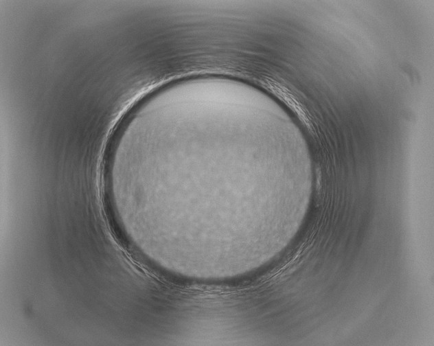 X0000115400676200912151521