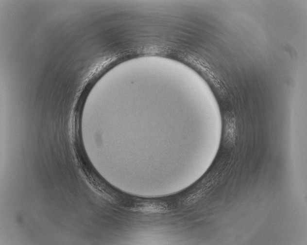 X0000115400678200912151521