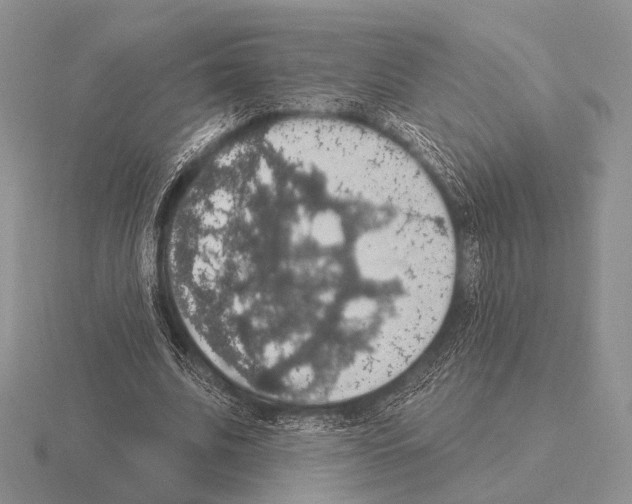 X0000115400679200912151521