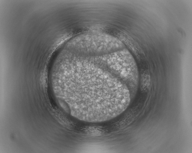 X0000115400680200912151521