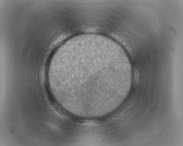 X0000115400682200912151521