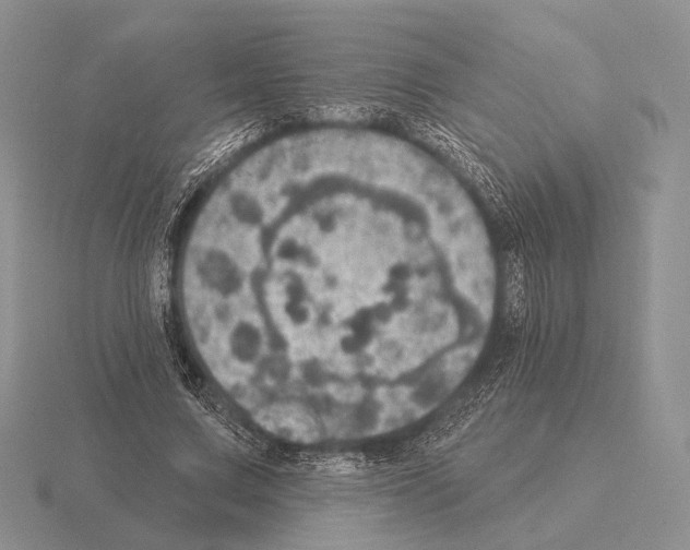 X0000115400683200912151521