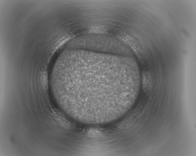 X0000115400684200912151521