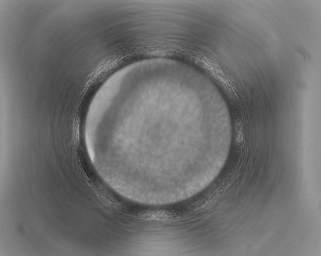 X0000115400685200912151521