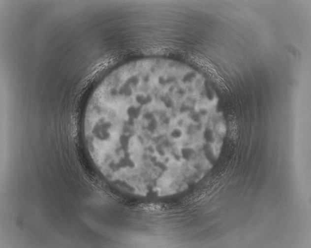 X0000115400687200912151521