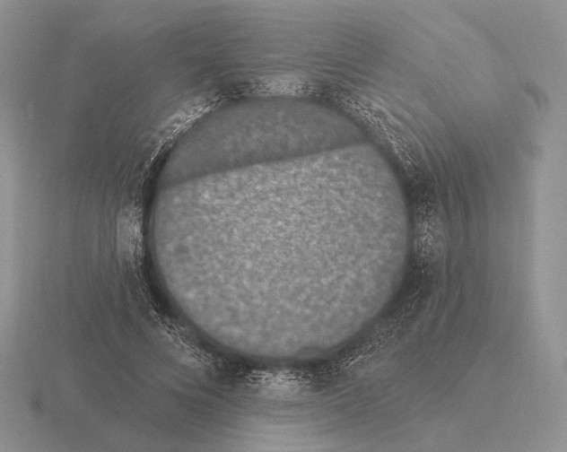 X0000115400688200912151521