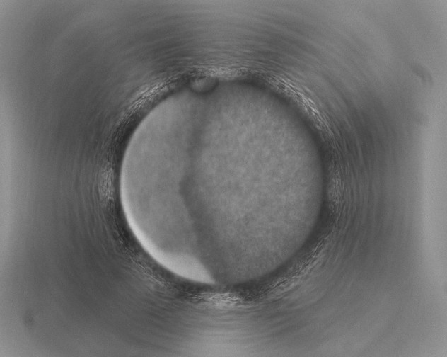 X0000115400689200912151521