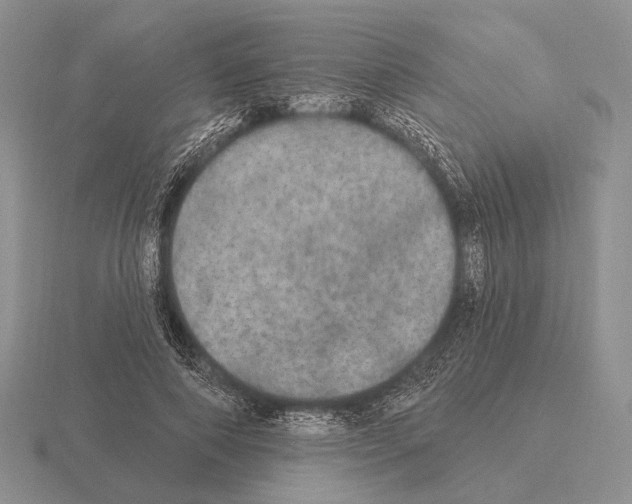 X0000115400690200912151521