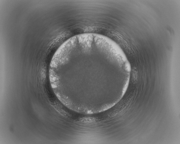 X0000115400691200912151521