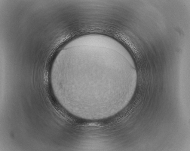 X0000115400692200912151521