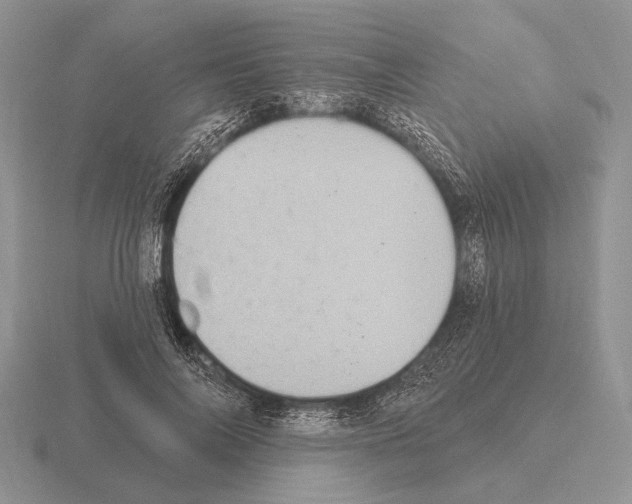 X0000115400694200912151521