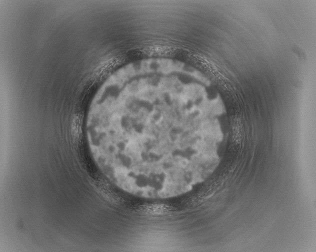 X0000115400695200912151521