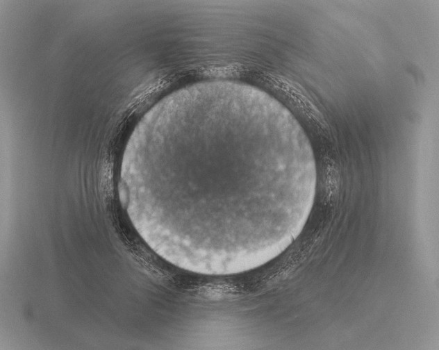 X0000115400696200912151521