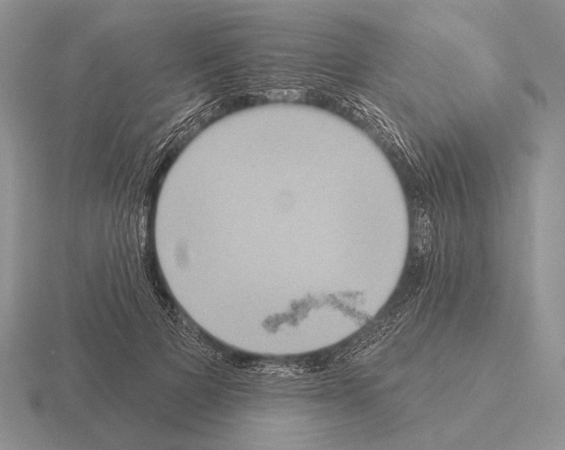 X0000115400697200912151521