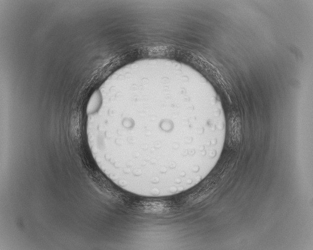 X0000115400698200912151521