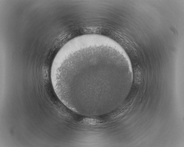 X0000115400699200912151520