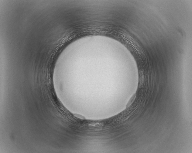 X0000115400700200912151520