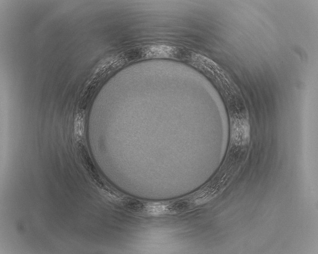 X0000115400701200912151520