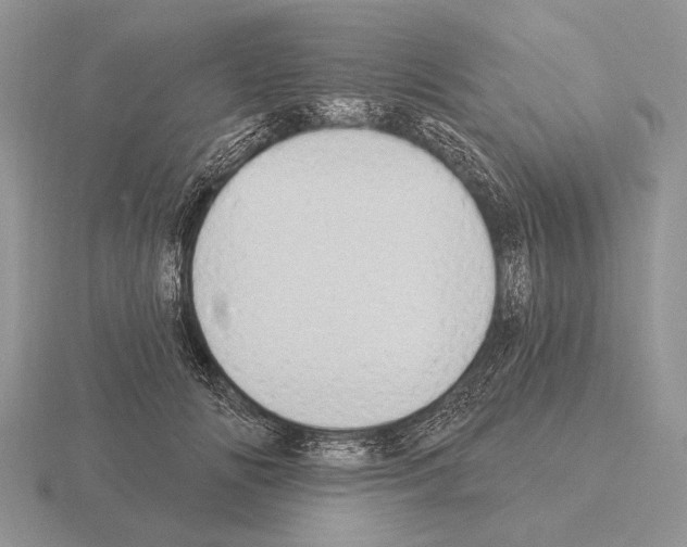 X0000115400702200912151520