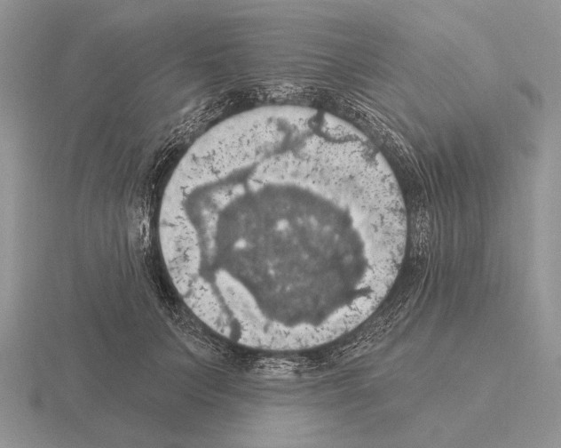 X0000115400703200912151520