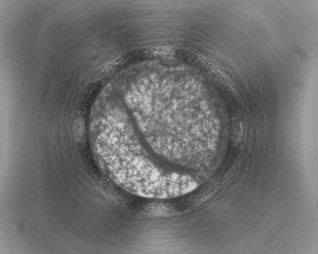 X0000115400704200912151520