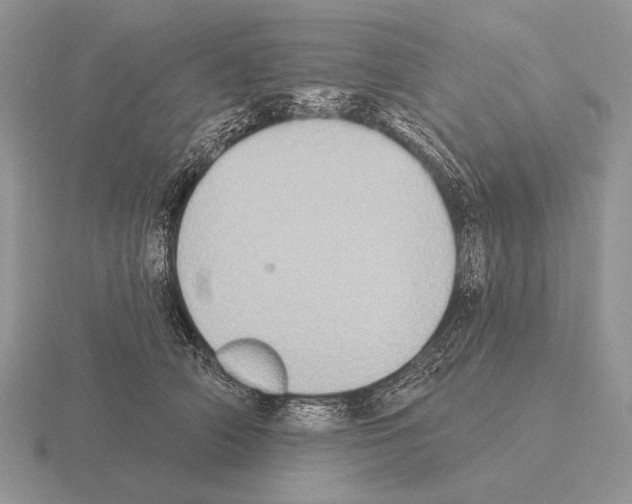 X0000115400706200912151520